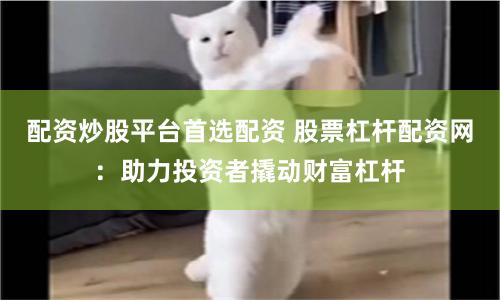 配资炒股平台首选配资 股票杠杆配资网：助力投资者撬动财富杠杆