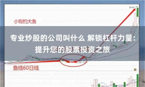 专业炒股的公司叫什么 解锁杠杆力量：提升您的股票投资之旅