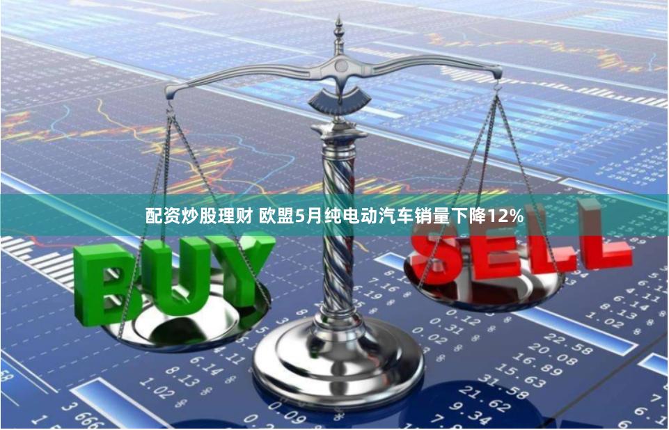 配资炒股理财 欧盟5月纯电动汽车销量下降12%