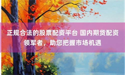 正规合法的股票配资平台 国内期货配资领军者，助您把握市场机遇